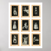 ネコ ポスター (正面)