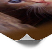 ネコ ポスター (角)