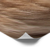 ネコ ポスター (角)