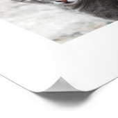 ネコ ポスター (角)