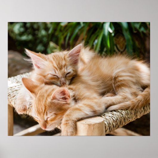 ネコ ポスター (正面)