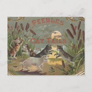 ネコ ポストカード