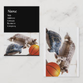 ネコ、亀、バスケットボール 名刺 (正面/裏面)