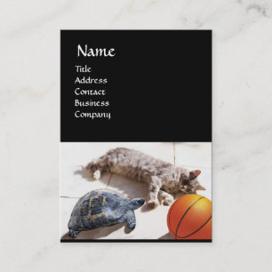ネコ、亀、バスケットボール 名刺