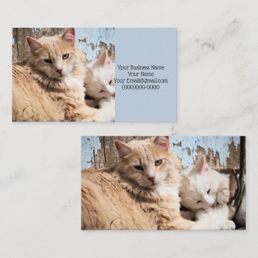 ネコ 名刺 (正面/裏面)