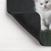 ネコ,子猫,ネコ マウスパッド (コーナー)