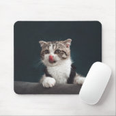ネコ,子猫,ペット マウスパッド (マウス)