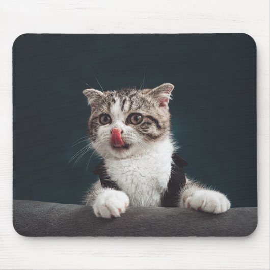 ネコ,子猫,ペット マウスパッド (正面)