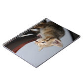 ネコ，子猫，動物 ノートブック (左側)