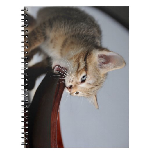 ネコ，子猫，動物 ノートブック (正面)