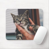ネコ、子猫、手 マウスパッド (マウス)