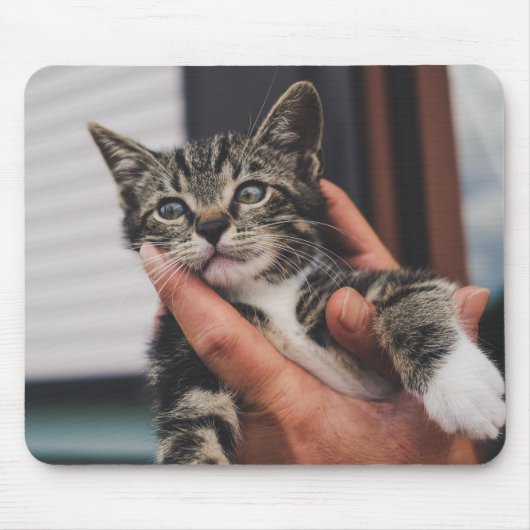 ネコ、子猫、手 マウスパッド (正面)