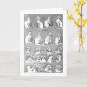 ネコ，求愛と結婚，花嫁，ルイ・ワイン カード (黄色い花)