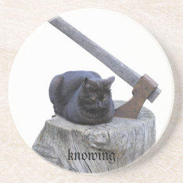 ネコ、知る コースター