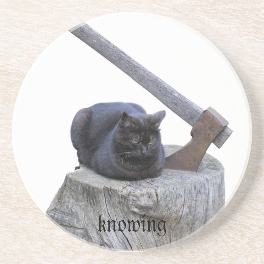 ネコ、知る コースター (正面)