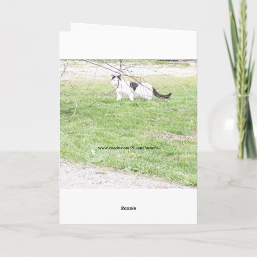 ネコ、誕生日 カード (裏面)