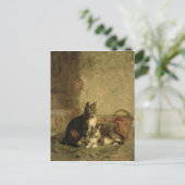 ネコ， 1883 ポストカード (スタンド正面)