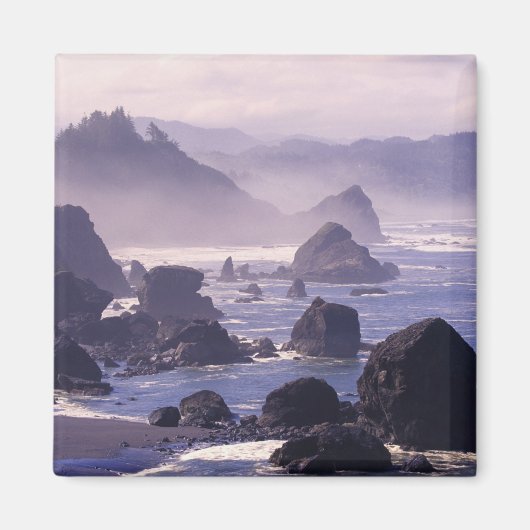 ネシカ島の近くのオレゴン州沿岸に霧が立っていた。 マグネット (正面)