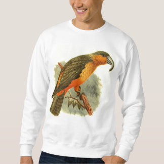 ネスターNorfolcensisの基本的なスエットシャツ スウェットシャツ