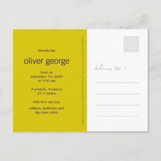 ネスティングバード&ファミリーベビー写真のお知らせ 案内ポストカード (裏面)