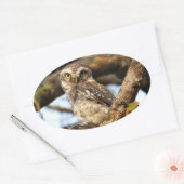 ネスティングフクロウ 楕円形シール (封筒)