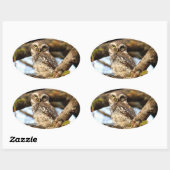 ネスティングフクロウ 楕円形シール (シート)