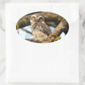 ネスティングフクロウ 楕円形シール (バッグ)