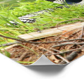 ネスティングルーンプリント ポスター (角)