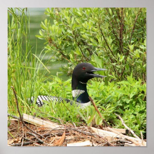 ネスティングルーンプリント ポスター (正面)