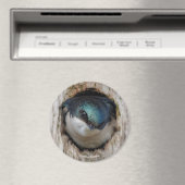 ネストボックスに入ったツリツバメ マグネット (インサイチュ (食洗機))