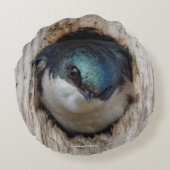 ネストボックスに入ったツリツバメ ラウンドクッション (裏面)