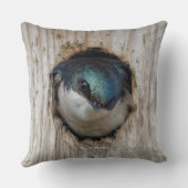 ネストボックスのツリースローソングバード クッション (裏面)