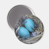 ネストマグネット マグネット (正面/裏面)