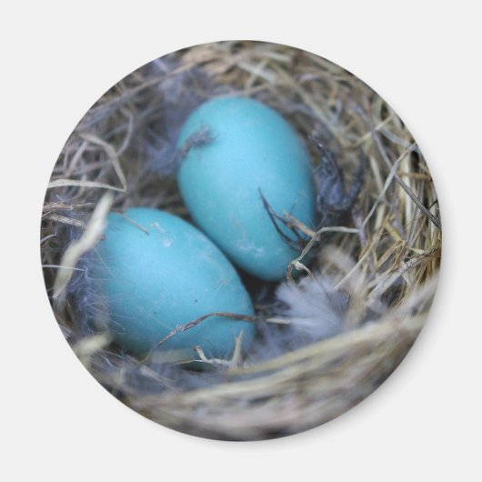 ネストマグネット マグネット (正面)