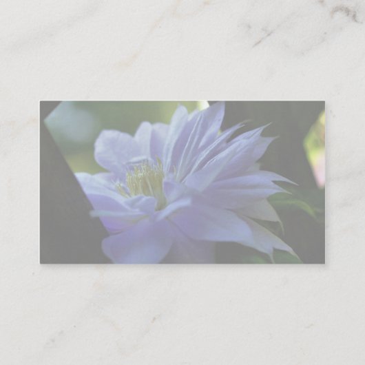 ネストレッドパープルクレマチスフローラ名刺 名刺 (裏面)