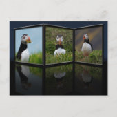 ネスト建物パフィンはがき ポストカード (正面)