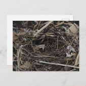 ネスト ポストカード (正面/裏面)