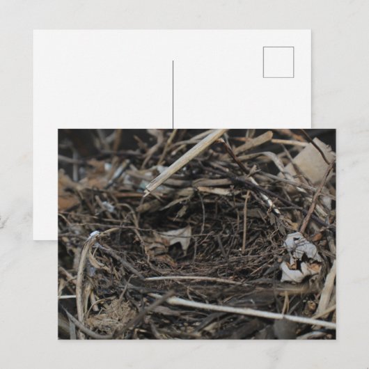 ネスト ポストカード (正面/裏面)
