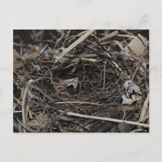 ネスト ポストカード (正面)