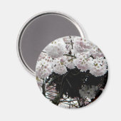 ネスト マグネット (正面/裏面)