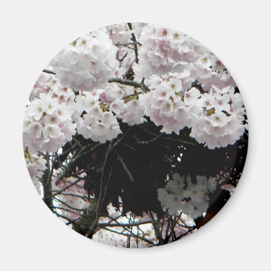 ネスト マグネット (正面)