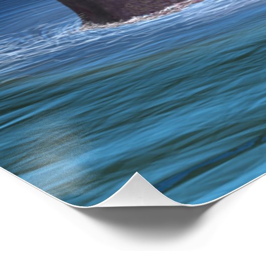 ネス検索2 ポスター (コーナー)