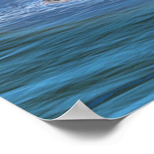 ネス検索2 ポスター (角)