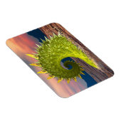 ネス湖 マグネット (右側)