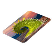 ネス湖 マグネット (左側)