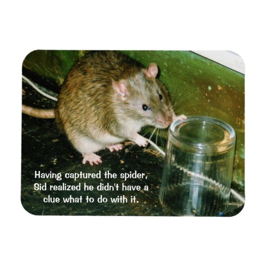 ネズミおもしろい磁石 マグネット (横)