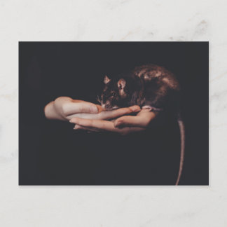 ネズミが手に… ポストカード