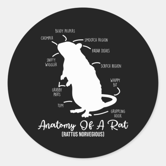 ネズミとペットのネズミ飼い主のためのネズミの解剖学 ラウンドシール (正面)