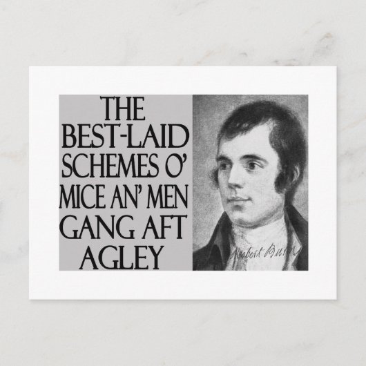 ネズミと男性 ポストカード (正面)