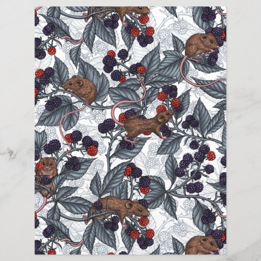 ネズミと白い黒い果実 (裏面)